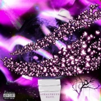 Goin' Insane - Single - Stealthyyy & Navy