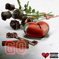 Go (feat. LavageAce) - Single - Dj Ray