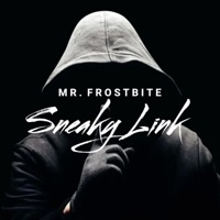 Sneaky Link