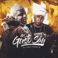Eu Gasto Sim - Single - MC 2jhow & Selminho Dj