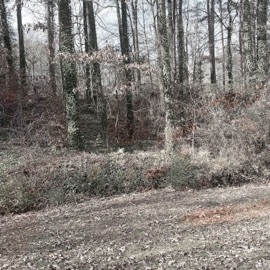 Days Go By King Attila