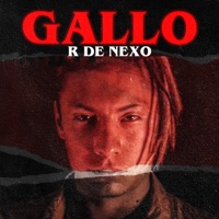 Gallo - Single - R de Nexo