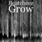 Grow - Beatcheez lyrics