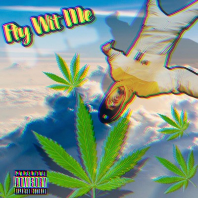Fly Wit Me - Single