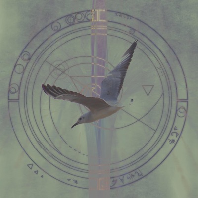 Måse I Evigheten - Single