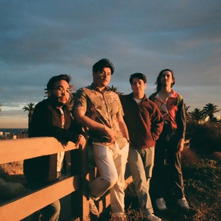 Tetra Collective