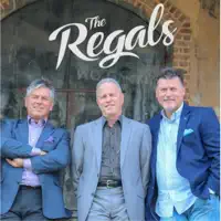 We All Fall Down — The Regals