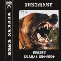 Feelin Like - Single - JUNTMANE