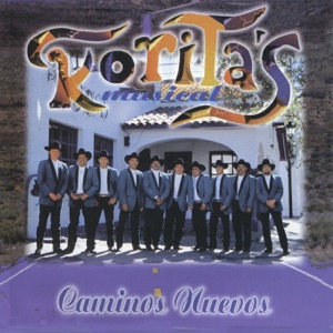 Caminos Nuevos (Grupero)
