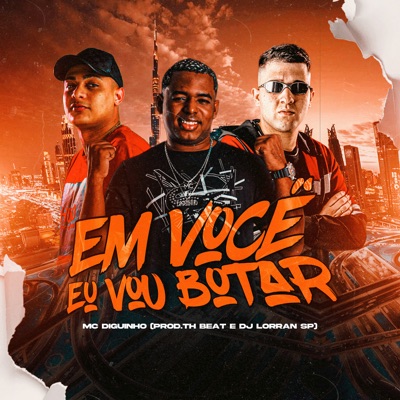 Em Você Eu Vou Botar (feat. Dj Lorran SP & DJ TH Beat) - Single