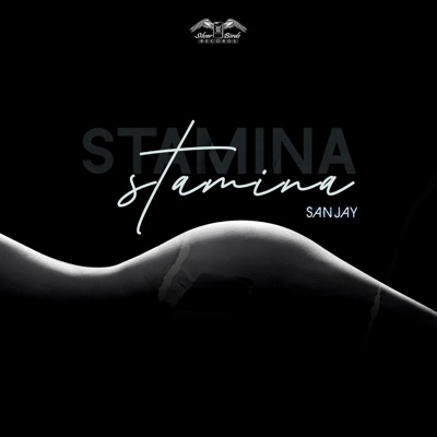 Stamina (Radio Edit) - Single