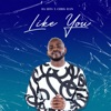 Like You (feat. Chris Icon) - Single