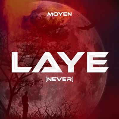 Laye (Never) - Single