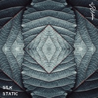 Nurture vs Nature (Silk Static Remix) [Silk Static Remix] - Single - Saturna