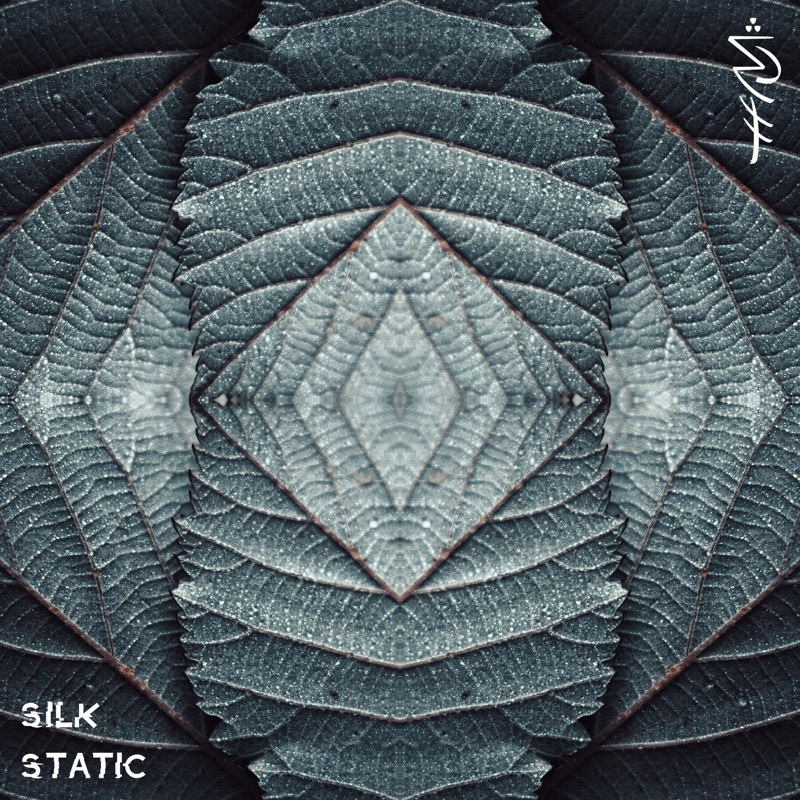 Nurture vs Nature (Silk Static Remix) [Silk Static Remix] - Single