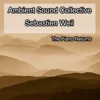 Ambient Sound Collective & Sebastien Weil