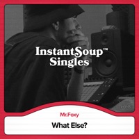 What Else? (feat. Mr.Foxy) - Single - Instant Soup