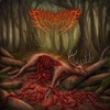 Field Dressed - Single