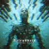 Netrunners - Single