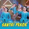 Santri Pekok artwork