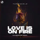 Love Is On Fire (Pulsedriver Extended Remix) artwork