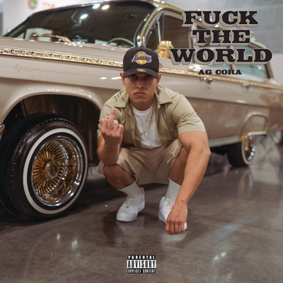 Fuck the World - Single