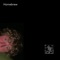 Mtc - Tropical Blast lyrics