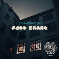 Flow State - Single - Luis Martínez