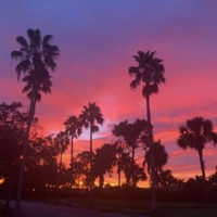 Distance - Single - cashkee