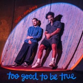 Too Good To Be True artwork