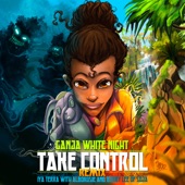 Take Control (feat. Bobby Lee (of Soja)) [Remix] artwork