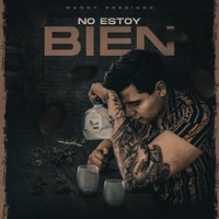No Estoy Bien (Radio Edit) - Single - Manny Preciado