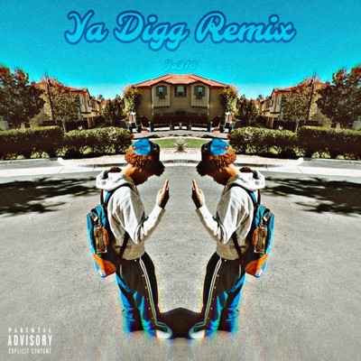 Ya Digg Rmx - Single