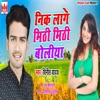 Nik Lage Mithi Mithi Boliya - Single