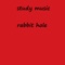 Rabbit Hole (feat. Traintrax Beats & David Mays) - study music lyrics