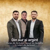 Din aur si argint - Single - Marian din Barbulesti, Samuel din Barbulesti & Robert Din Barbulesti
