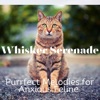 Whisker Serenade: Purrfect Melodies for Anxious Feline