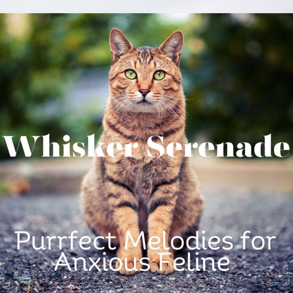 Whisker Serenade: Purrfect Melodies for Anxious Feline