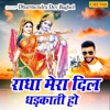 Radha Mera Dil Dhadkati Ho - Single