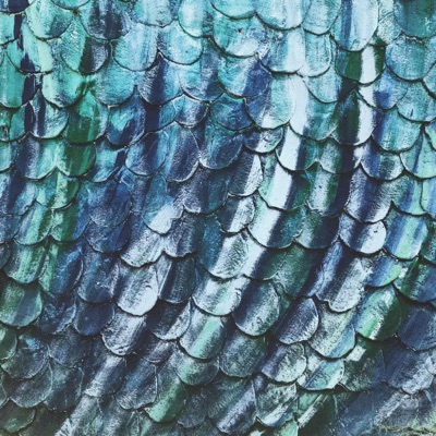 TWITTER FINGER FRENZY - Single