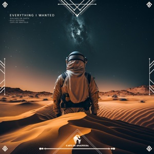 Everything I Wanted - Single