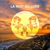 La Nuit Du Luxe - Single