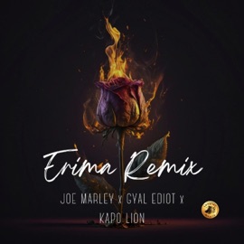 ERIMA REMIX. (feat. GYAL EDIOT & KAPO LION) [Radio Edit] Joe marley