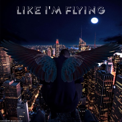 Like I'm Flying (feat. Miss. Savage) - Single