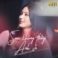 Sao Không Thấy Anh Về (WRC Remix) - Single - Đan Nguyên & Bang Tam