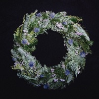 Advent - Single - Grafi