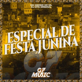 Especial de Festa Junina MC MENOR DO ML & DJ DTS ORIGINAL