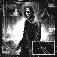 Body Bags - Single - Knewse