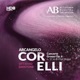 Corelli Concerto Grosso in B Flat Major Op 6 No 11 EP