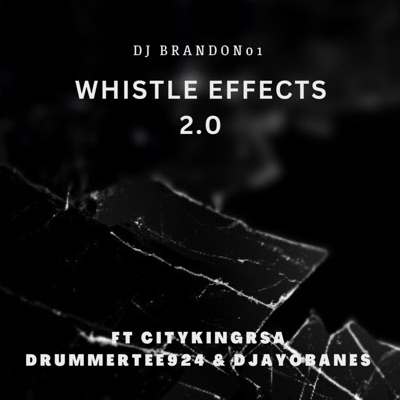 Whistle Effects 2,0 (feat. Dj Ayobanes, Citykingrsa & DrummerTee924) - Single